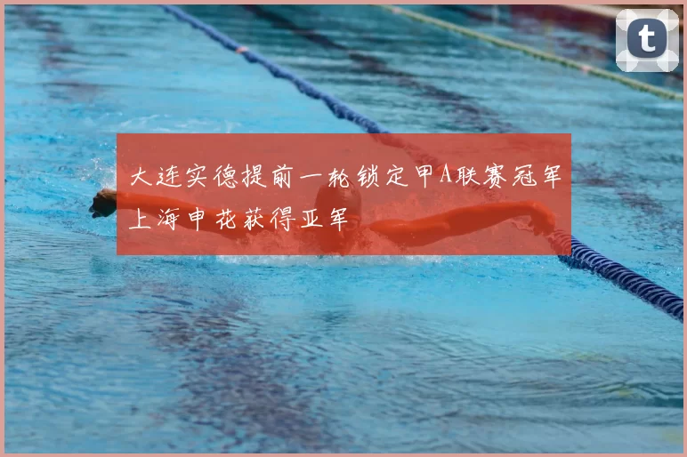 大连实德提前一轮锁定甲A联赛冠军上海申花获得亚军
