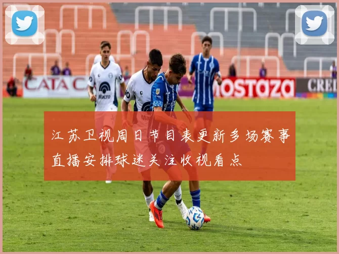 江苏卫视周日节目表更新多场赛事直播安排球迷关注收视看点